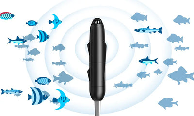 Atracción Sónica De Grandes Peces