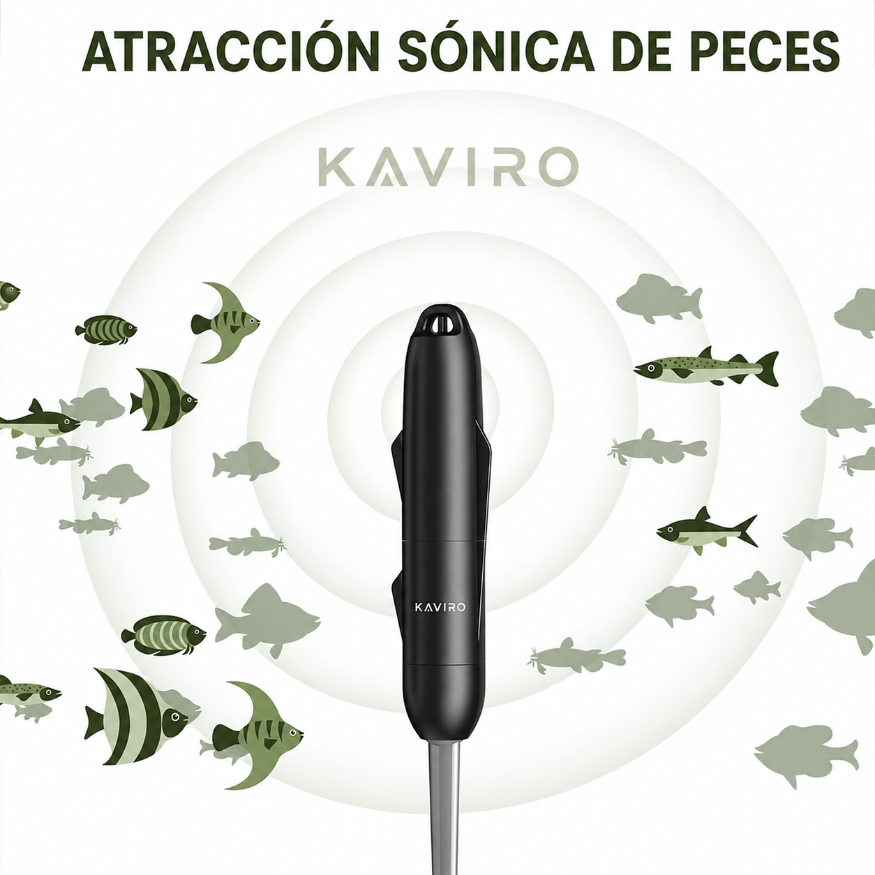 Kit Smart Bait Pro KAVIRO®