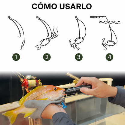 Kit Smart Bait Pro KAVIRO®