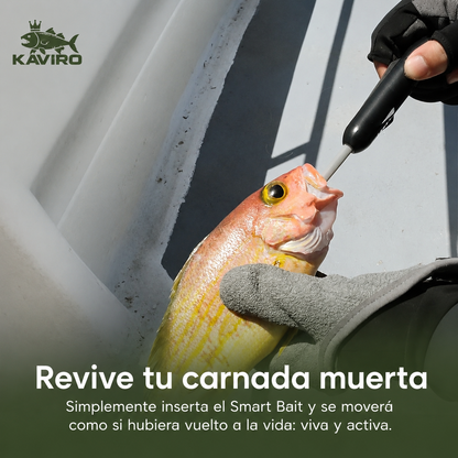 Kit Smart Bait Pro KAVIRO®